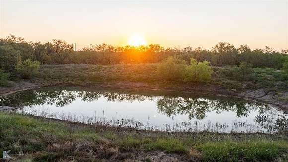 57.4 Acres of Recreational Land for Sale in Clyde, Texas