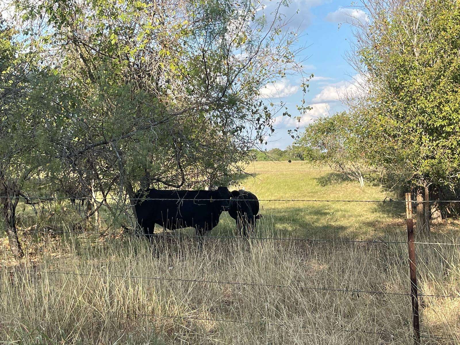 102.29 Acres of Land for Sale in Stockdale, Texas