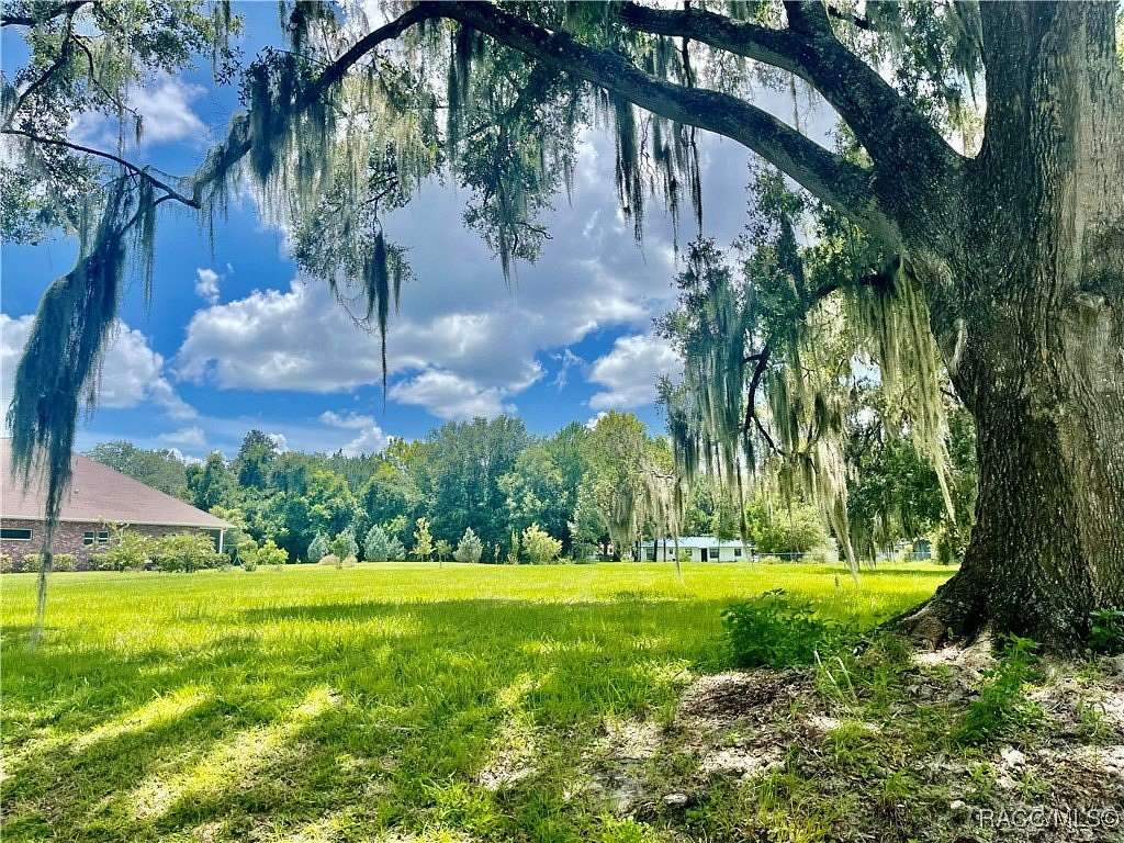 1 Acre of Residential Land for Sale in Williston, Florida