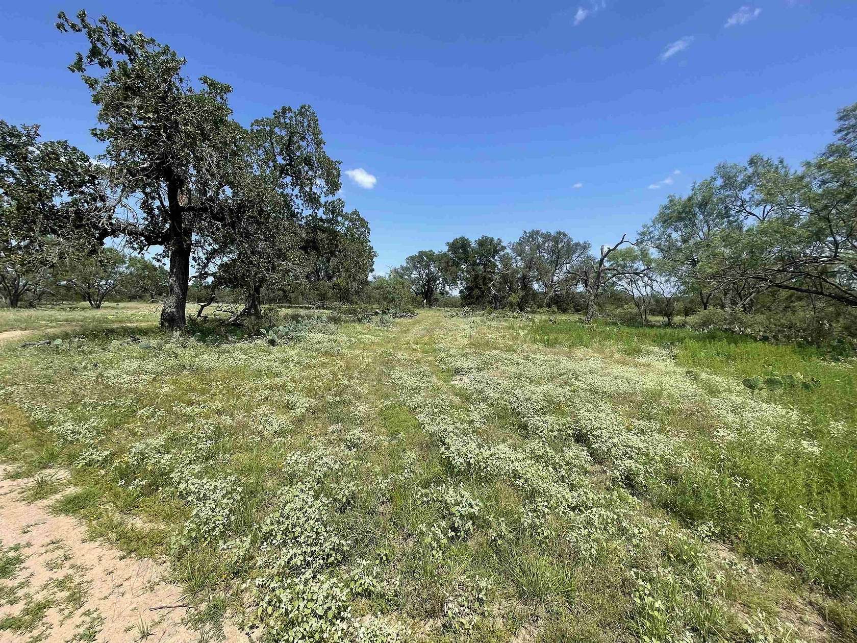 10.7 Acres of Agricultural Land for Sale in Marble Falls, Texas