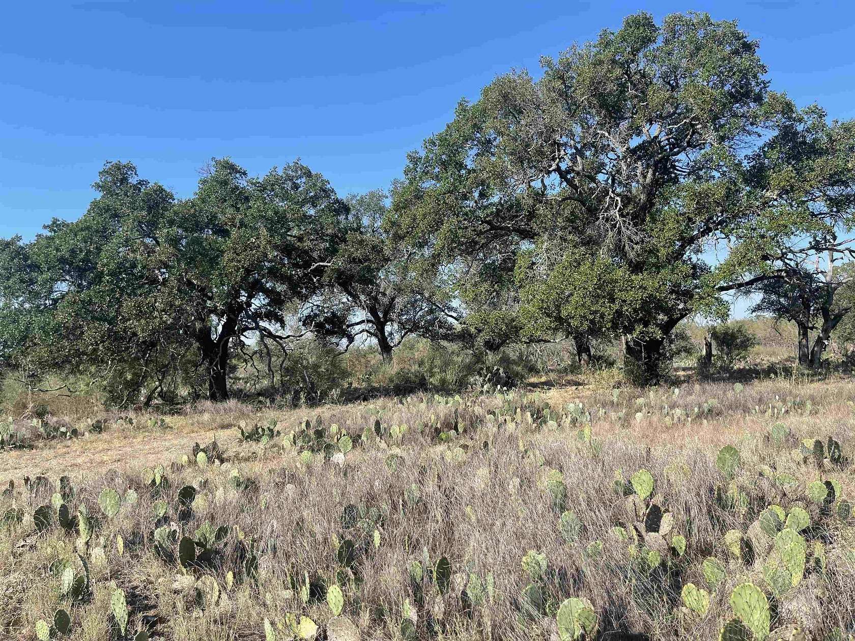 13.24 Acres of Agricultural Land for Sale in Marble Falls, Texas