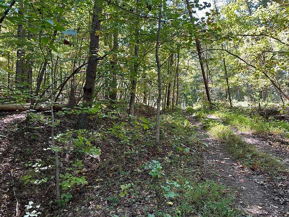 0.3 Acres of Residential Land for Sale in Spring City, Tennessee