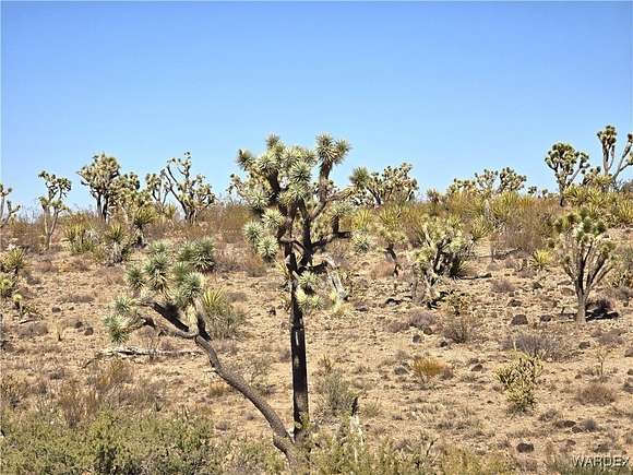 1.07 Acres of Residential Land for Sale in Dolan Springs, Arizona