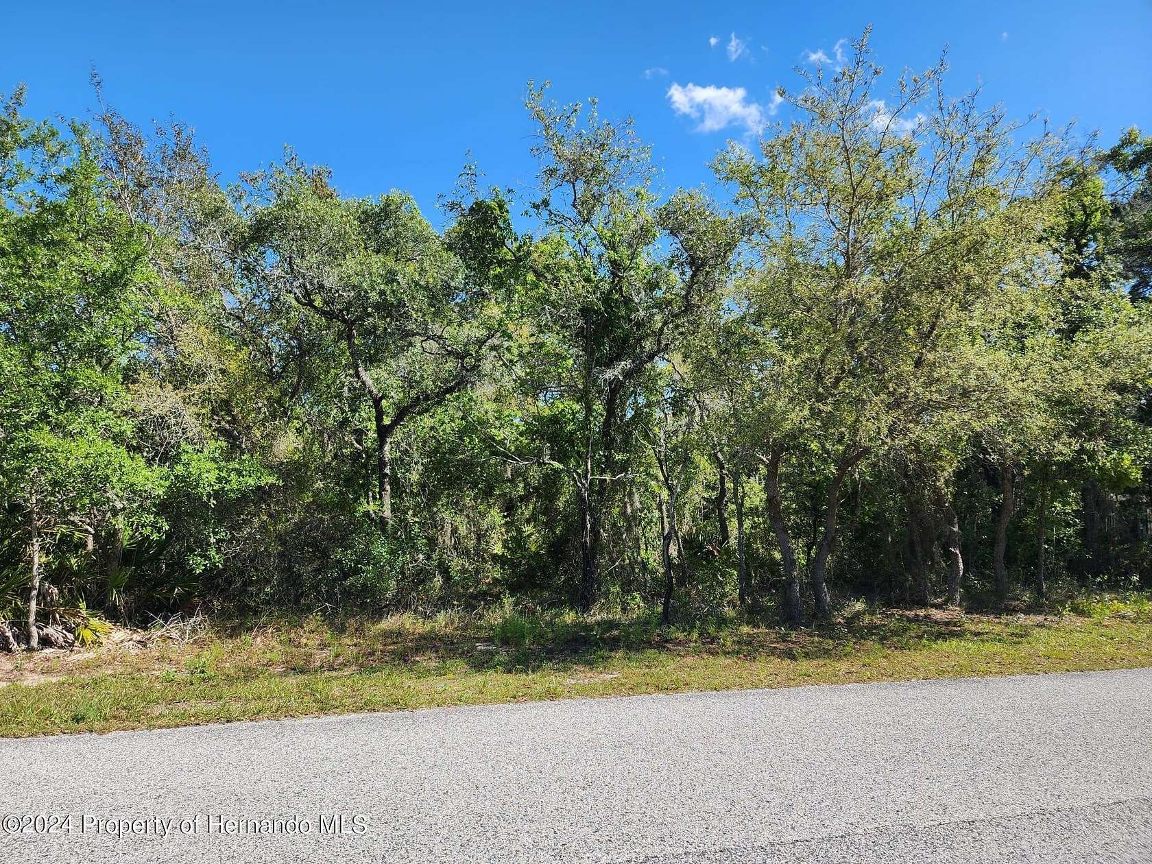 1.04 Acres of Residential Land for Sale in Weeki Wachee, Florida