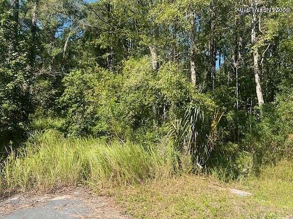 23 Acres of Agricultural Land for Sale in Callahan, Florida