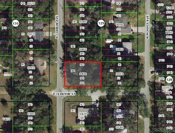 0.22 Acres of Residential Land for Sale in Inverness, Florida