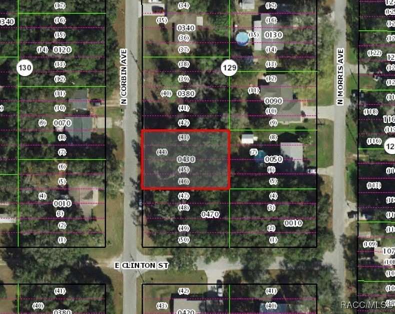 0.22 Acres of Residential Land for Sale in Inverness, Florida