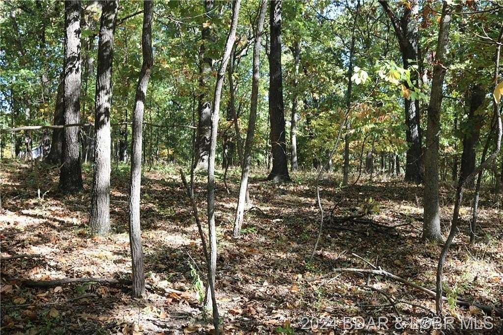 15.68 Acres of Recreational Land for Sale in Laurie, Missouri