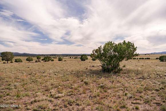 10.12 Acres of Land for Sale in Ash Fork, Arizona