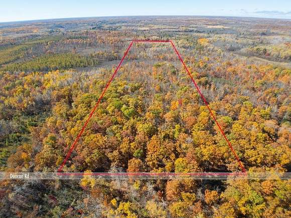 39 Acres of Recreational Land for Sale in Wilma Township, Minnesota