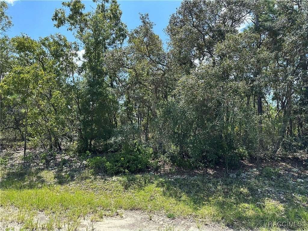 0.26 Acres of Residential Land for Sale in Dunnellon, Florida