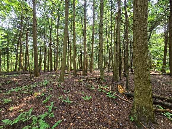 34.8 Acres of Recreational Land for Sale in McDonough, New York