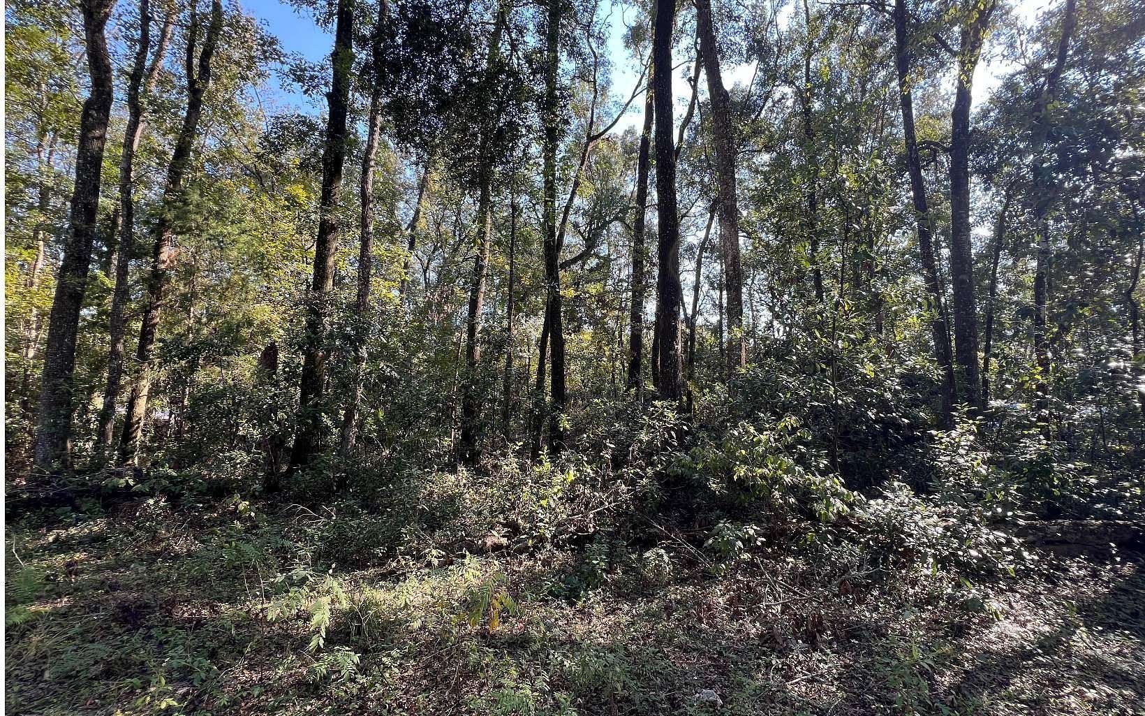 1.9 Acres of Residential Land for Sale in Branford, Florida