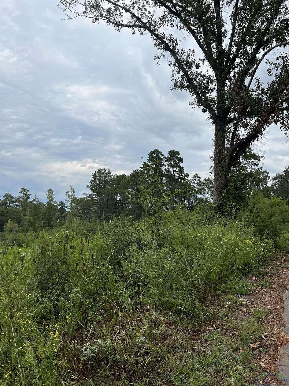 19 Acres of Land for Sale in Jefferson, Texas