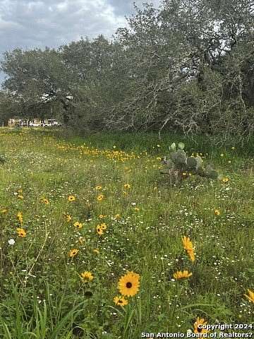 0.79 Acres of Residential Land for Sale in Poteet, Texas