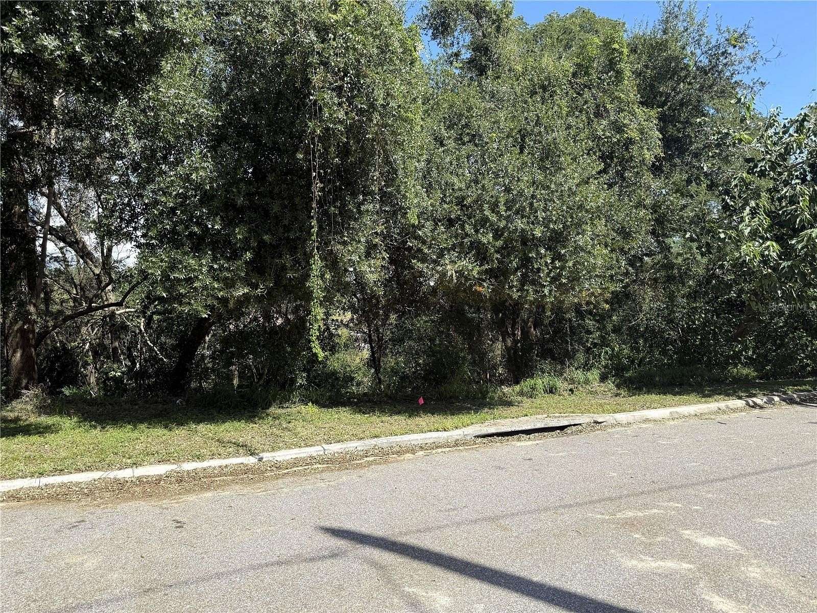 0.48 Acres of Residential Land for Sale in Clermont, Florida