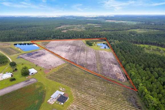 21.75 Acres of Agricultural Land for Sale in Nicholls, Georgia