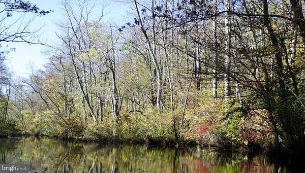 81.7 Acres of Recreational Land for Sale in Snow Hill, Maryland