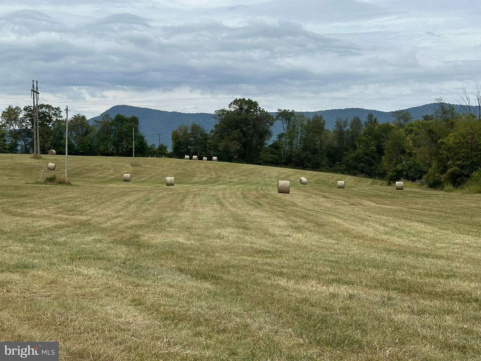 28.8 Acres of Land for Sale in Luray, Virginia