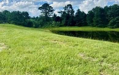 36.04 Acres of Land for Sale in Brundidge, Alabama