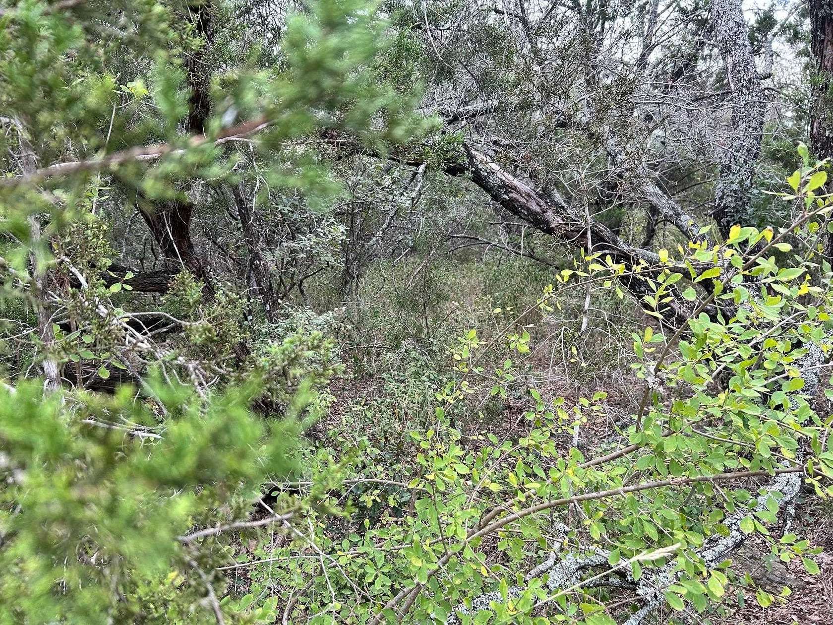 0.18 Acres of Residential Land for Sale in Marble Falls, Texas