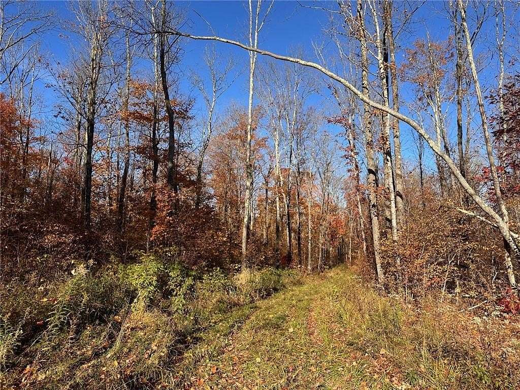 39 Acres of Recreational Land for Sale in Barnes Town, Wisconsin