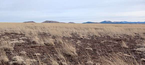 9.89 Acres of Residential Land for Sale in Concho, Arizona