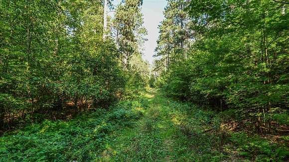 10 Acres of Land for Auction in Almond, Wisconsin