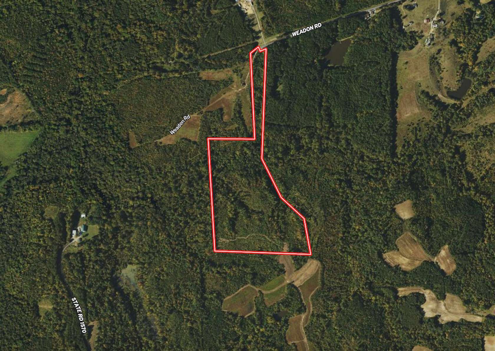 41.27 Acres of Recreational Land for Sale in Blanch, North Carolina