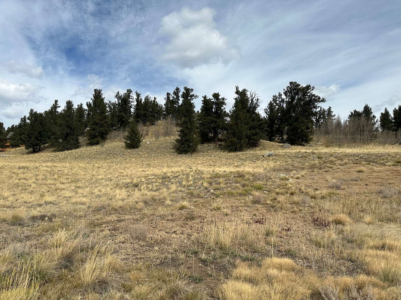 3.99 Acres of Recreational Land for Sale in Fairplay, Colorado