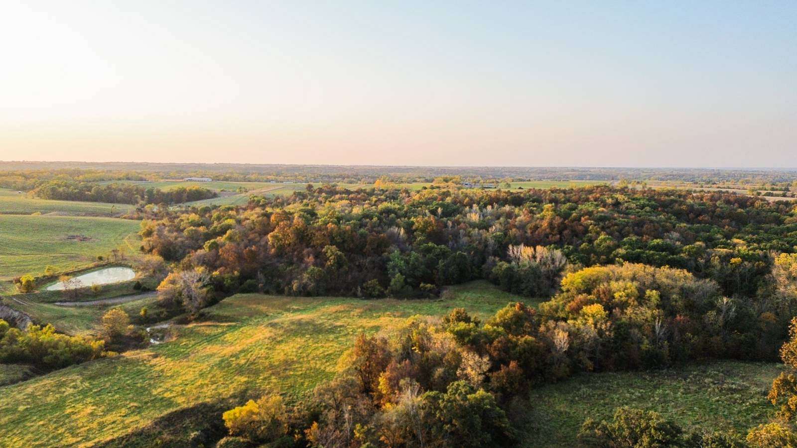 90 Acres of Land for Sale in Albany, Missouri