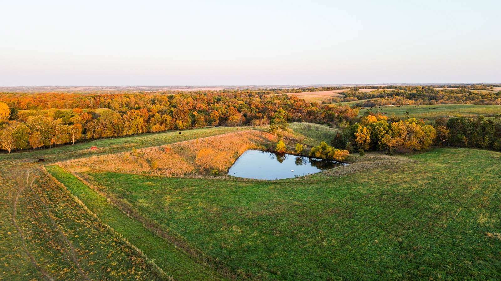 183.5 Acres of Agricultural Land for Sale in Albany, Missouri