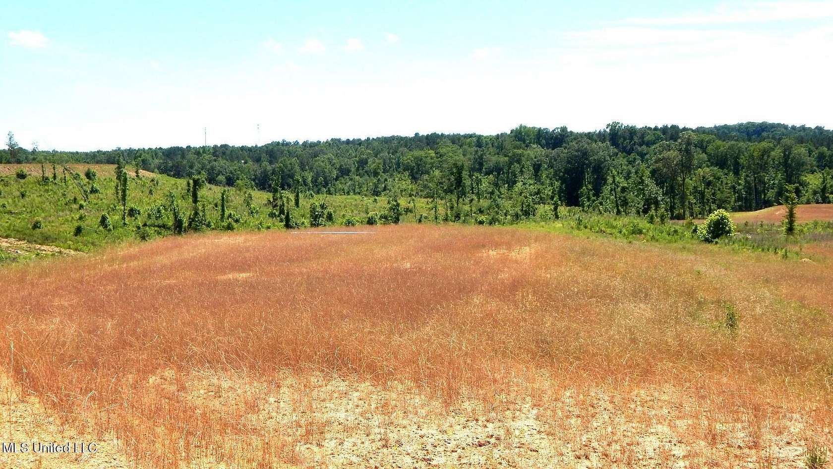 7.34 Acres of Residential Land for Sale in Grenada, Mississippi