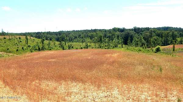 7.34 Acres of Residential Land for Sale in Grenada, Mississippi