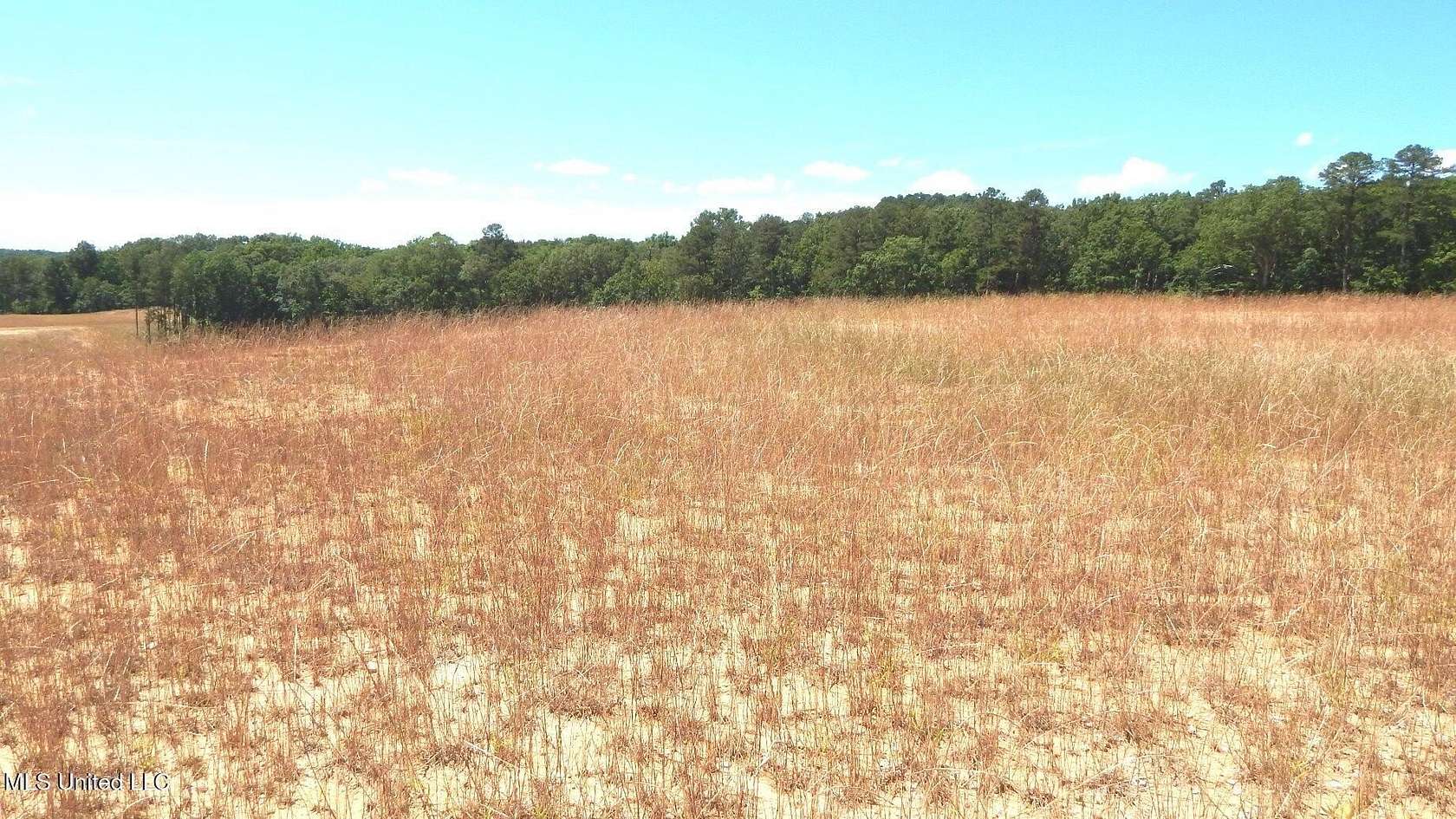 6.1 Acres of Residential Land for Sale in Grenada, Mississippi