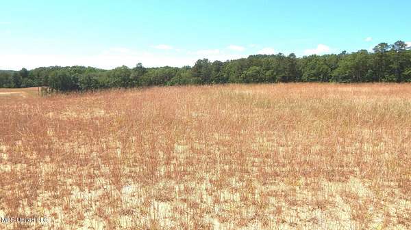6.1 Acres of Residential Land for Sale in Grenada, Mississippi