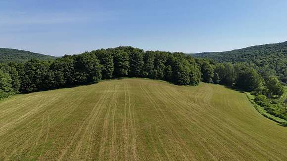 169 Acres of Recreational Land & Farm for Sale in Waterville, New York