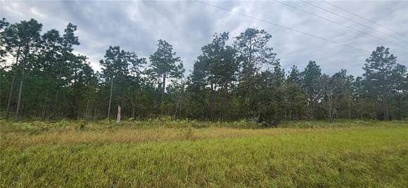 5 Acres of Land for Sale in Morriston, Florida