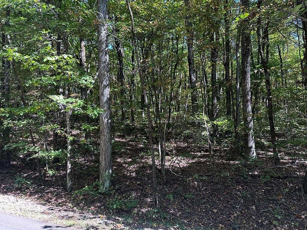 3.1 Acres of Residential Land for Sale in Ellijay, Georgia