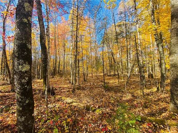 9.984 Acres of Residential Land for Sale in Exeland, Wisconsin