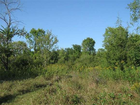 12 Acres of Land for Sale in Cottage Grove, Minnesota