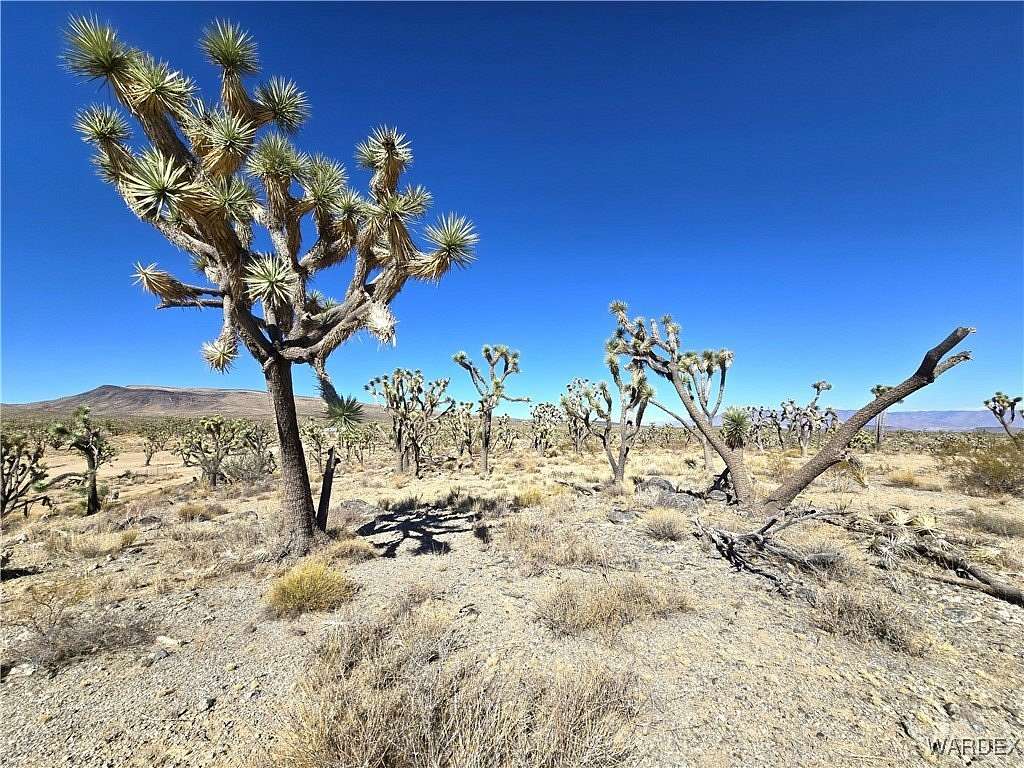 1 Acre of Residential Land for Sale in Dolan Springs, Arizona