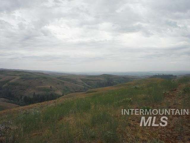 291.56 Acres of Recreational Land for Sale in Council, Idaho