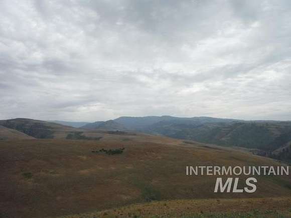 292 Acres of Recreational Land for Sale in Council, Idaho