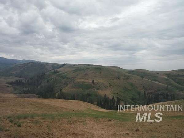 292 Acres of Recreational Land for Sale in Council, Idaho