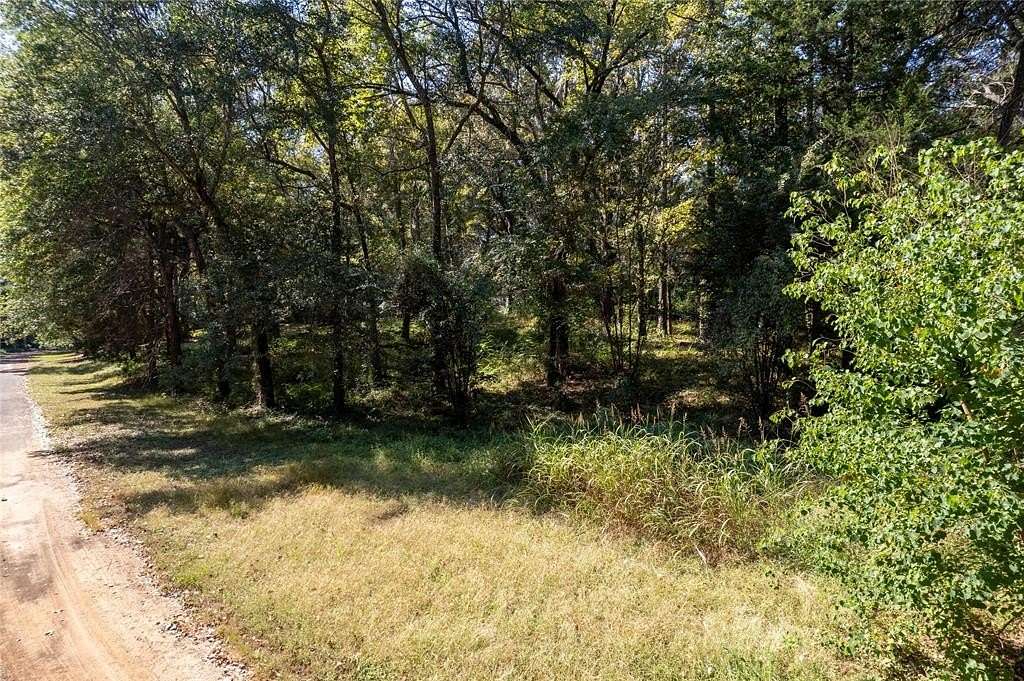 0.746 Acres of Residential Land for Sale in Palestine, Texas