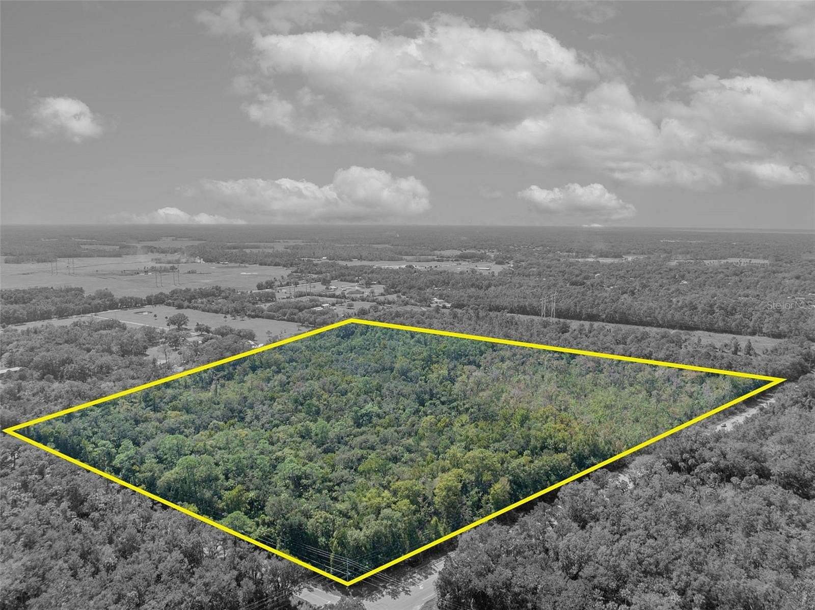 32.29 Acres of Recreational Land for Sale in Geneva, Florida