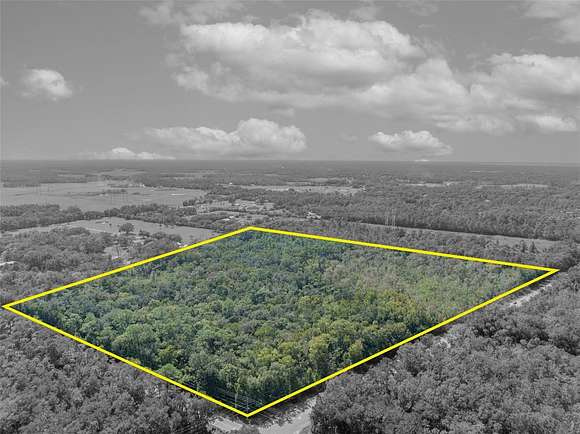 32.29 Acres of Recreational Land for Sale in Geneva, Florida