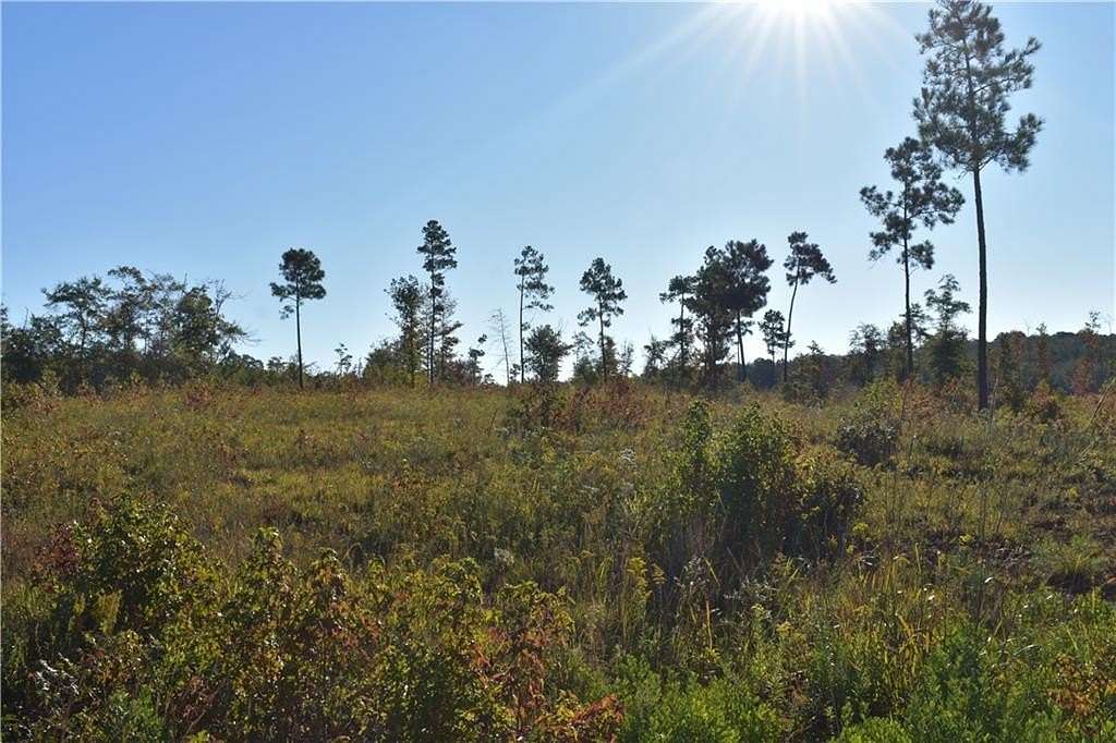 12.56 Acres of Land for Sale in Auburn, Alabama