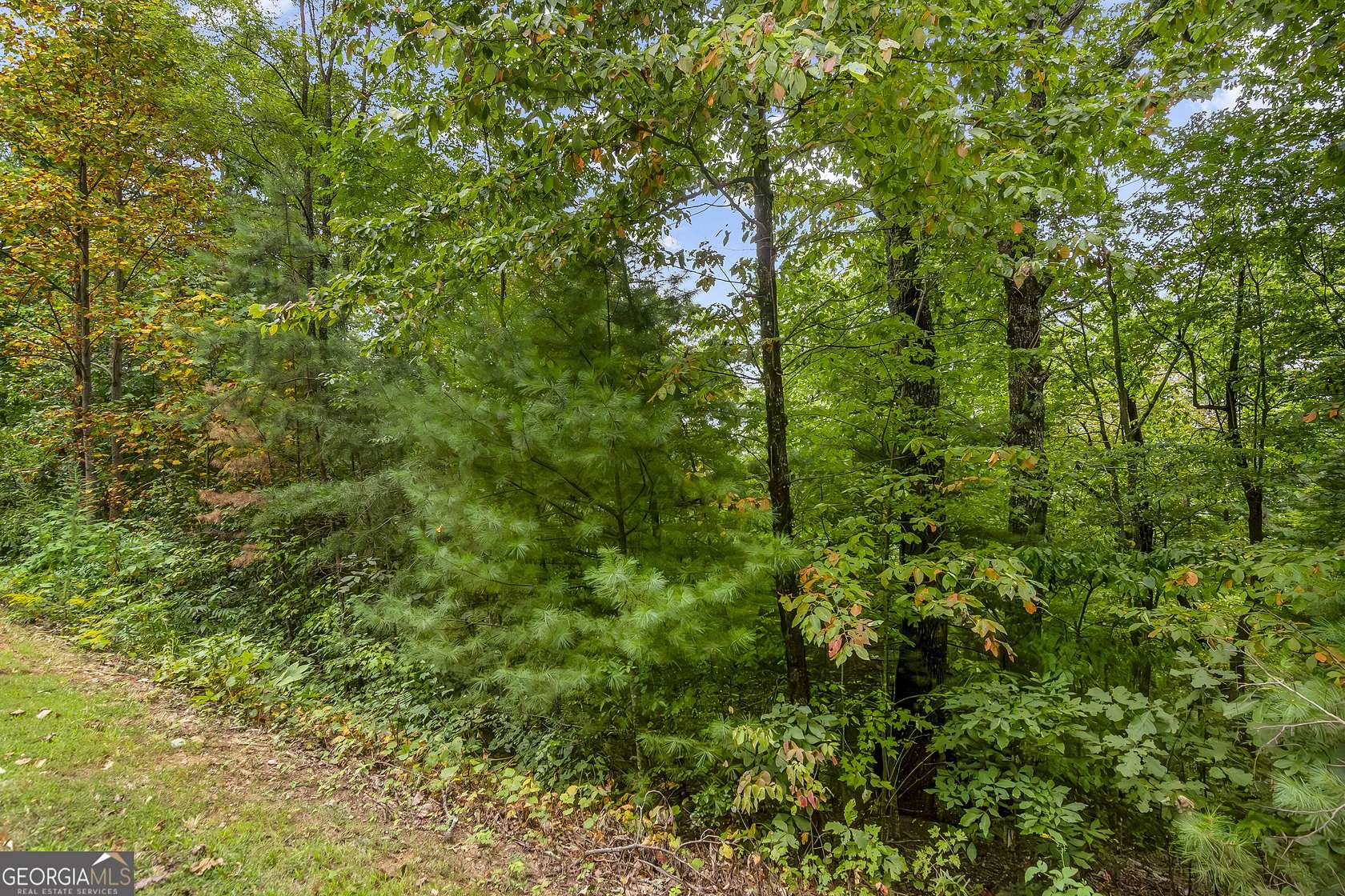 2.8 Acres of Residential Land for Sale in Ellijay, Georgia